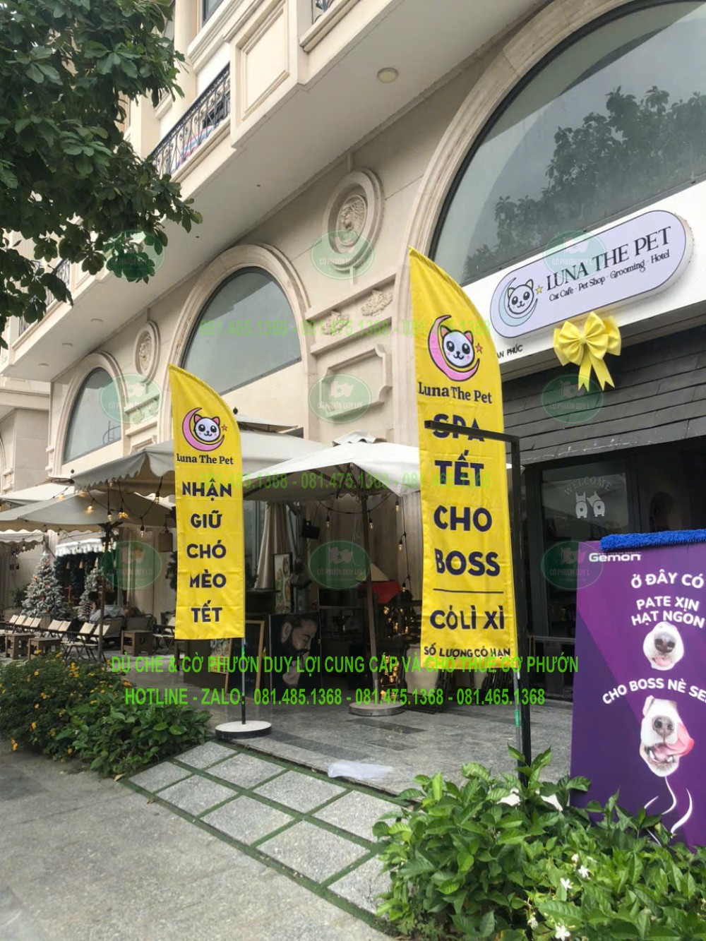 Hai cờ cánh buồm nền vàng in thông điệp Tết được đặt trước cửa hàng thú cưng.