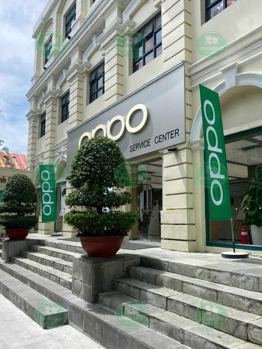 co-phuon-cho-van-phong-cty